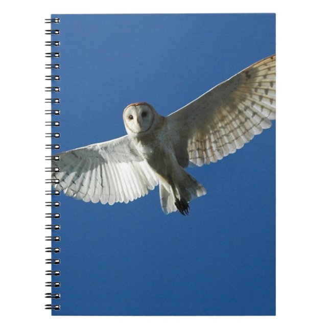Barn Owl in Daytime Flight Spiral Notebook (Front)
