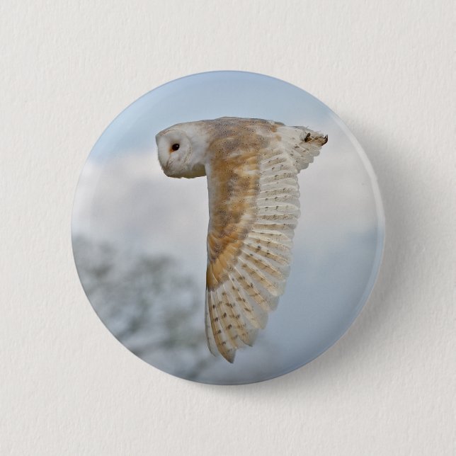 Barn Owl in Flight Badge (Front)