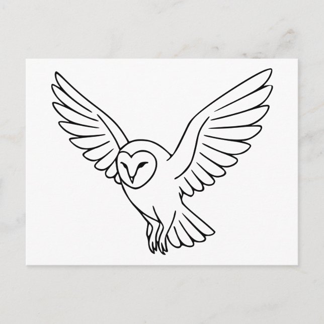 Barn Owl in Flight Line Art Postcard (Front)