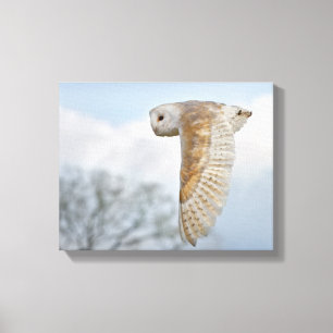 Barn Owl in Flight Wrapped Canvas Print