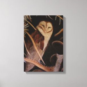 barn owl in pastel animal painting canvas print