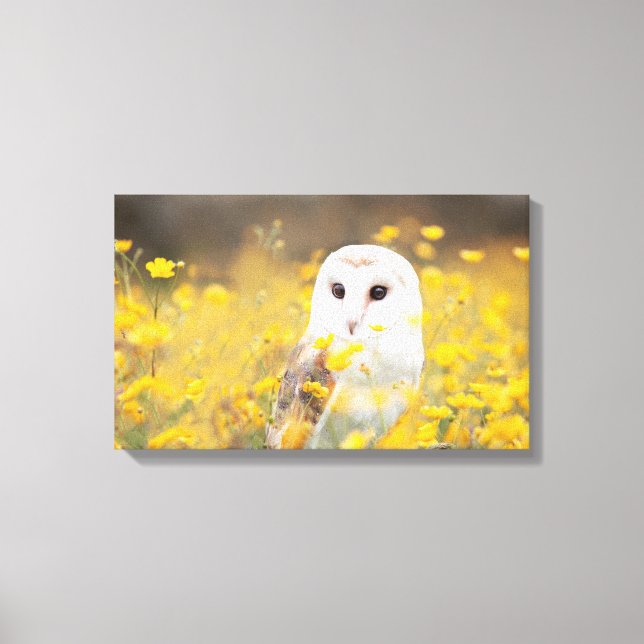 Barn Owl in Yellow Flower Field Canvas Print (Front)
