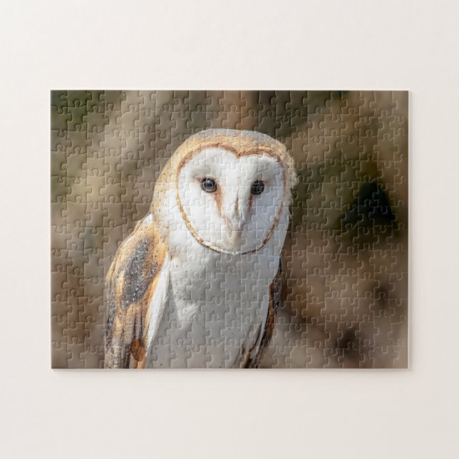 Barn Owl Jigsaw Puzzle (Horizontal)