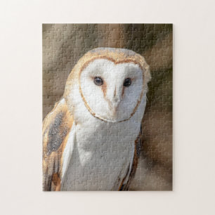 Barn Owl Jigsaw Puzzle
