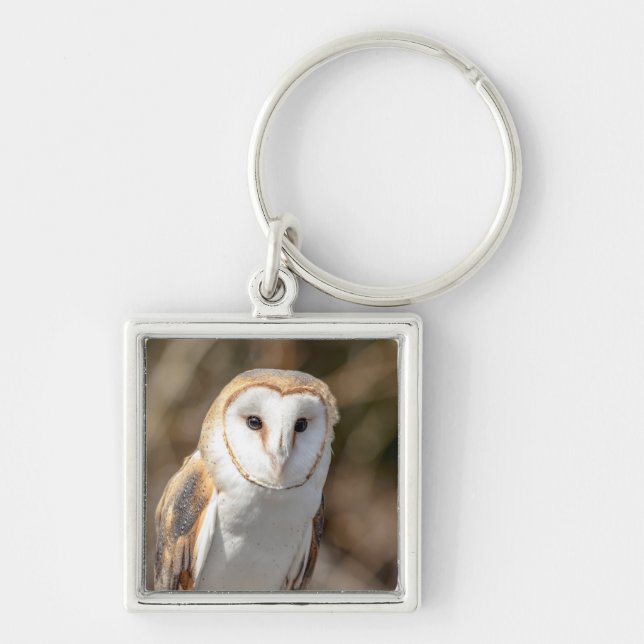 Barn Owl Key Ring (Front)