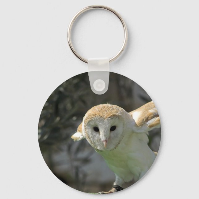Barn Owl Keychain (Front)