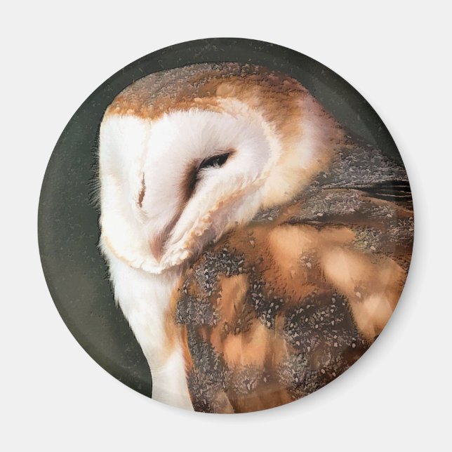 BARN OWL MAGNET (Front)