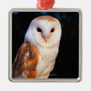 Barn Owl Metal Tree Decoration