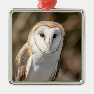 Barn Owl Metal Tree Decoration