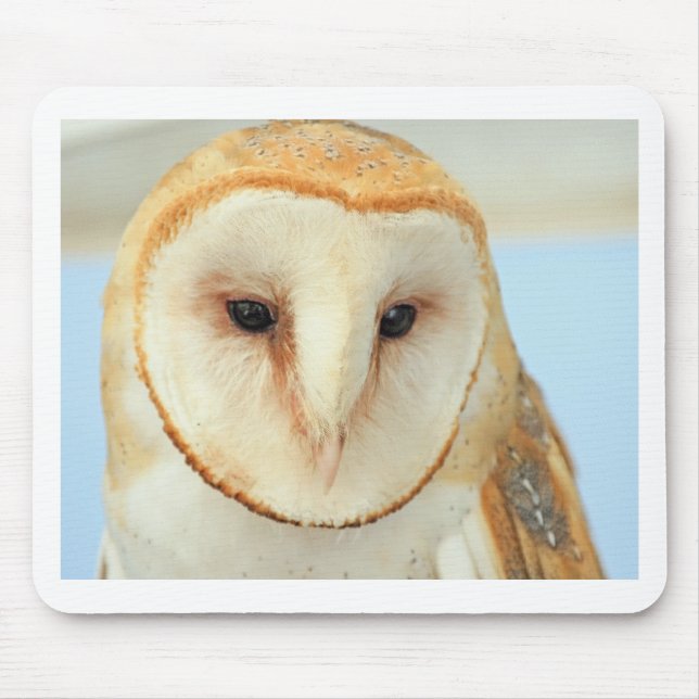 Barn owl mouse pad (Front)