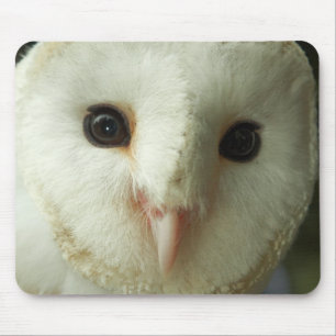 Barn Owl Mousepad