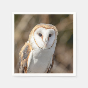 Barn Owl Napkin
