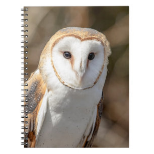 Barn Owl Notebook
