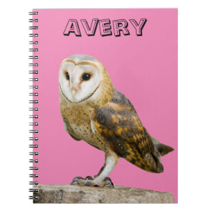 Barn Owl Notebook