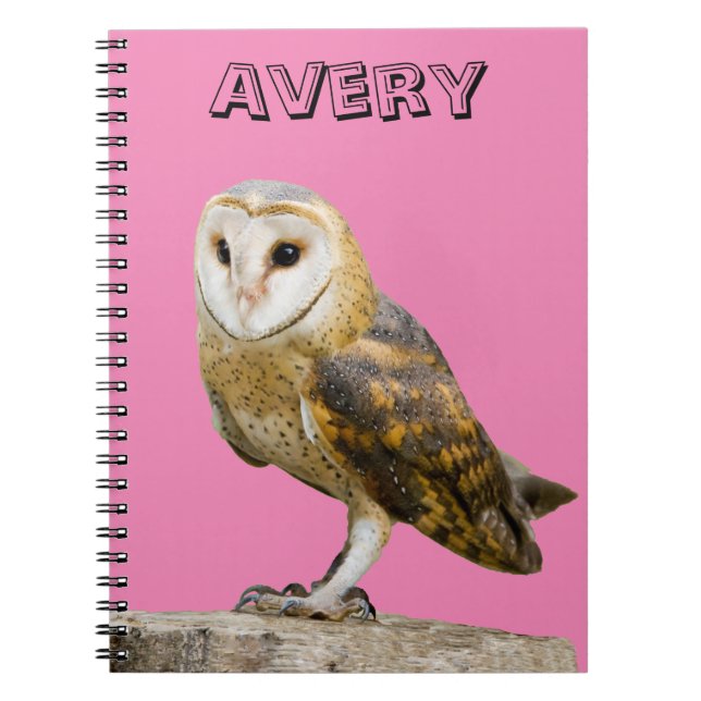 Barn Owl Notebook (Front)