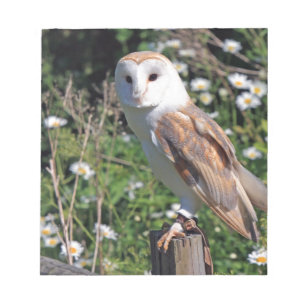 Barn Owl Notepad