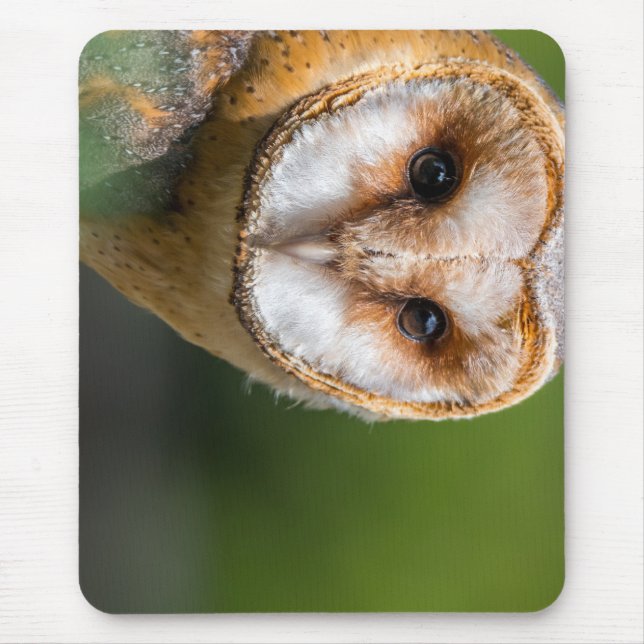 barn owl, owl, bird mouse pad (Front)