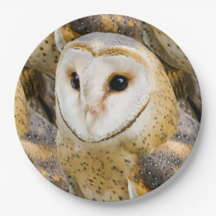 Barn Owl Paper Plate