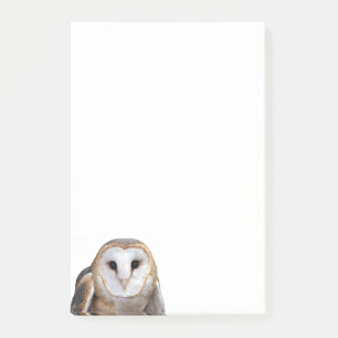 Barn Owl Photo 4x6 Post-it Notes Stationery