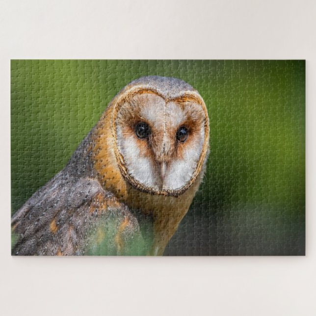 Barn owl photo jigsaw puzzle (Horizontal)