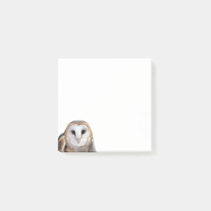 Barn Owl Photo Post-it Notes Stationery