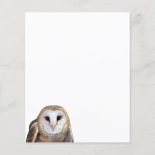 Barn Owl Photo Stationery Paper