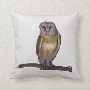 Barn Owl Pillow