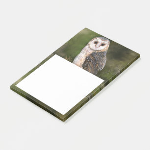 Barn Owl Post-it® Notes