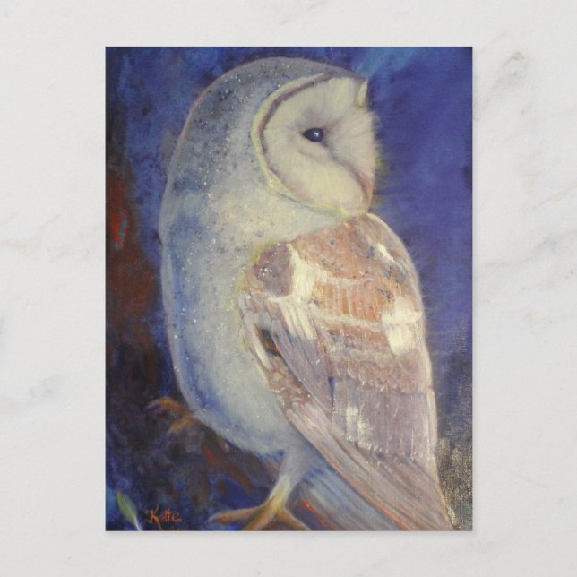 Barn Owl Postcard (Front)