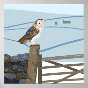 Barn owl Poster