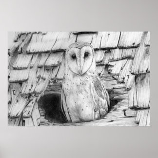 Barn Owl Poster
