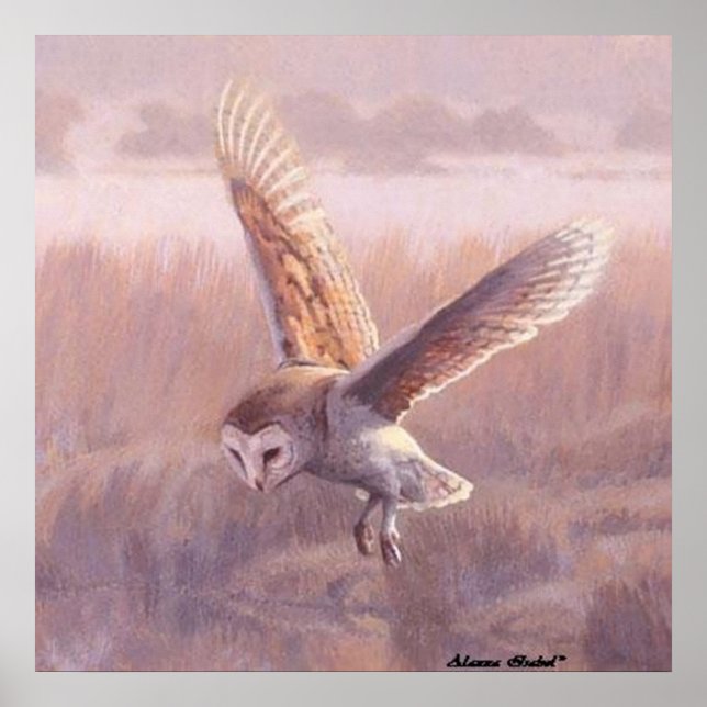 Barn Owl Poster (Front)