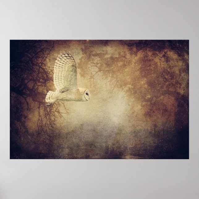 Barn Owl Poster or for decoupage (Front)