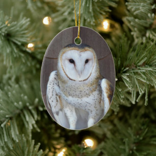 Barn Owl Raptor Photo Holiday Ceramic Tree Decoration