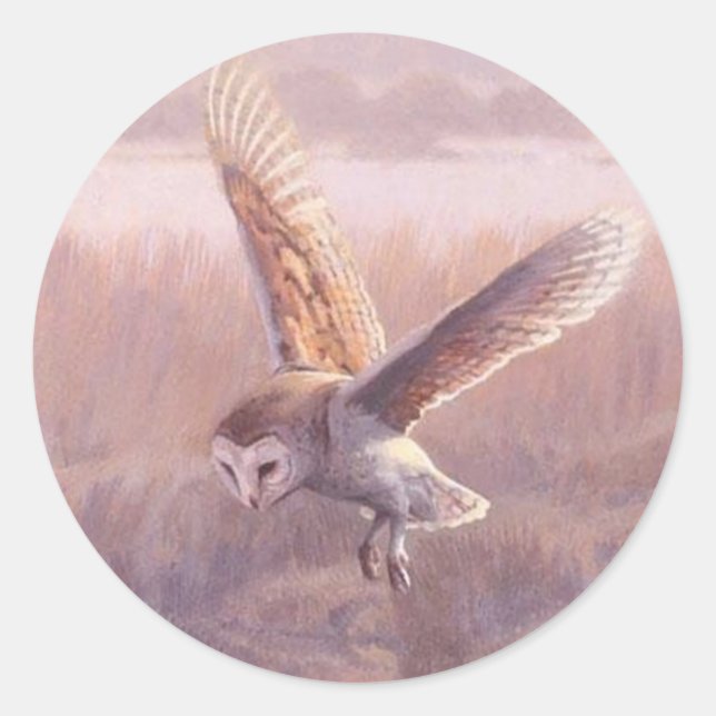 Barn Owl Round Stickers  (Front)