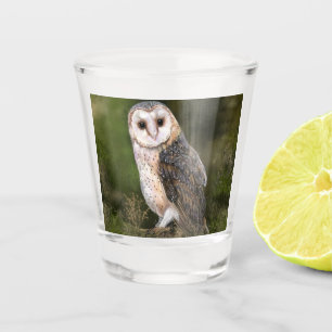 Barn Owl Shot Glass
