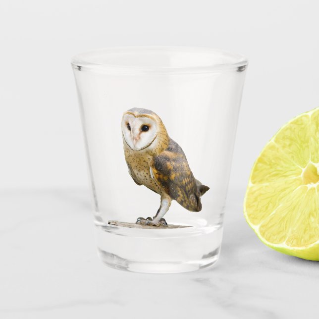 Barn Owl Shot Glass (Front)