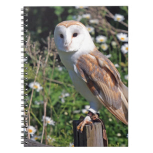 Barn Owl Spiral Notebook