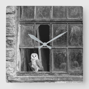 Barn owl square wall clock