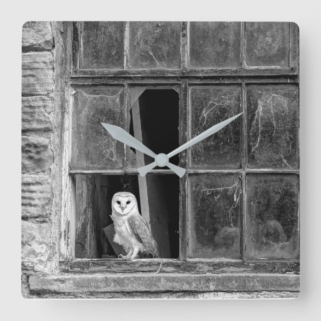 Barn owl square wall clock (Front)