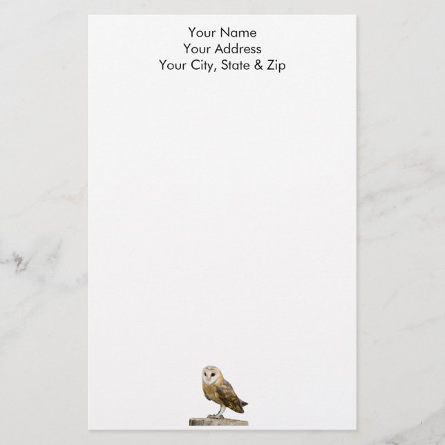 Barn Owl Stationery (Front)