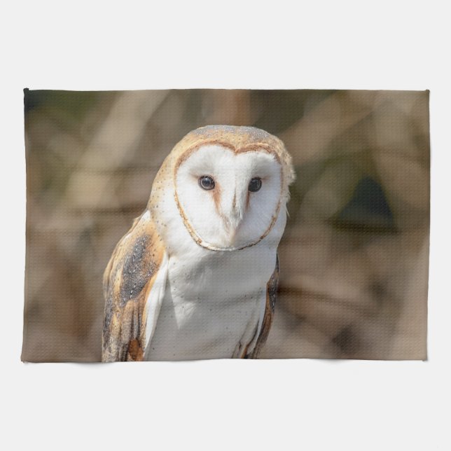 Barn Owl Tea Towel (Horizontal)