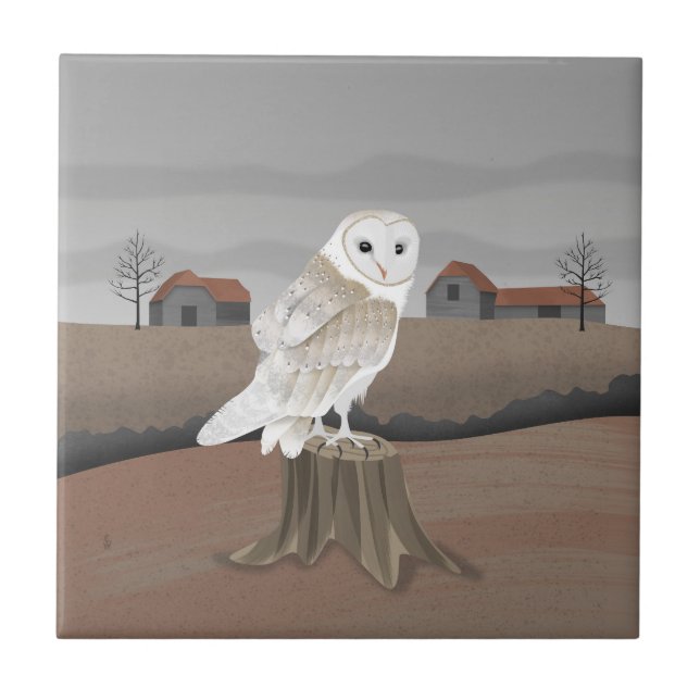 Barn Owl Tile (Front)