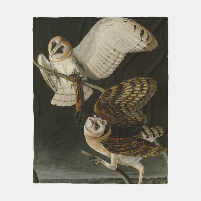 Barn Owl (Tyto alba) Audubon's Birds of America Fleece Blanket (Front)