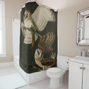 Barn Owl (Tyto alba) Audubon's Birds of America Shower Curtain