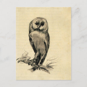Barn Owl Viewed from the Front by Vincent van Gogh Postcard