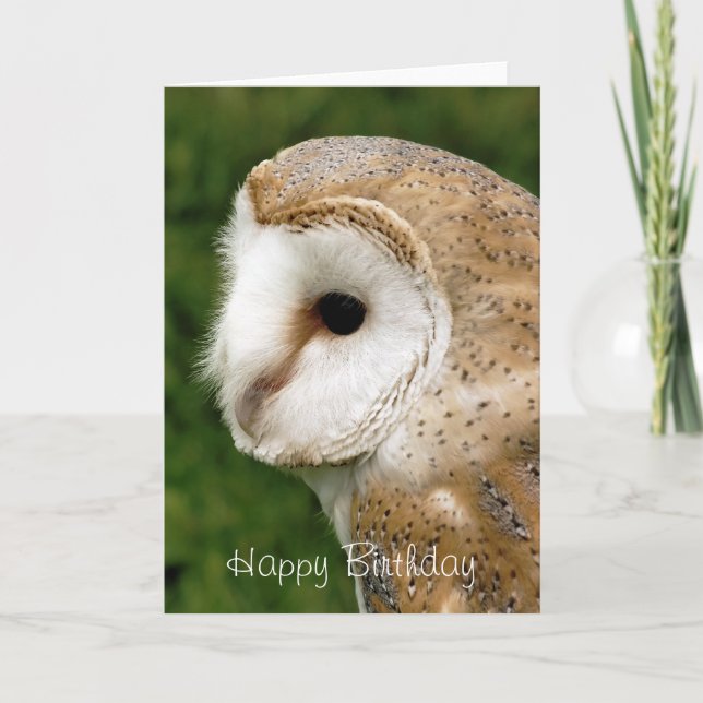 BARN OWLS CARD (Front)