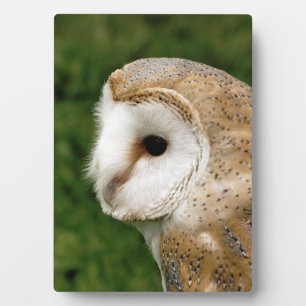 BARN OWLS PLAQUE