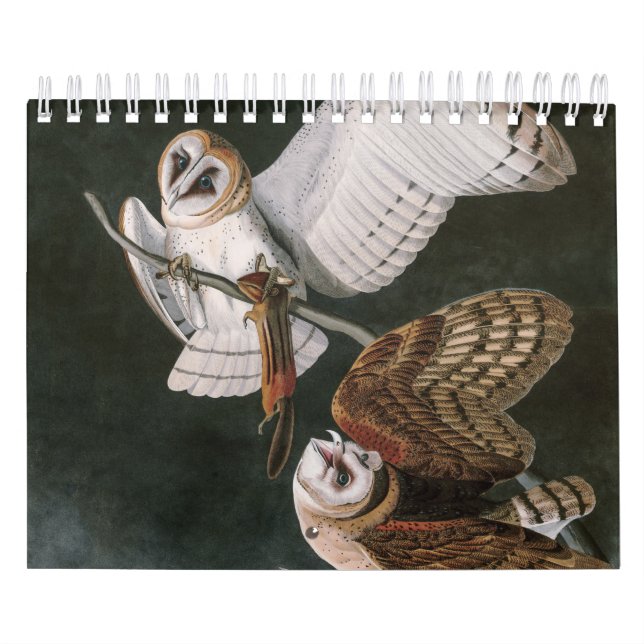 Barn Owls, the Birds of America John James Audubon Calendar (Cover)
