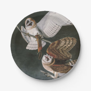 Barn Owls, the Birds of America John James Audubon Paper Plate